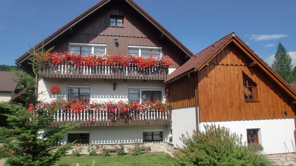 Apartmany Votockovi Rokytnice nad Jizerou Buitenkant foto